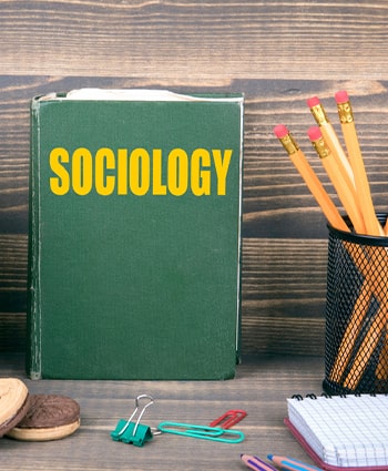  Department of Sociology 